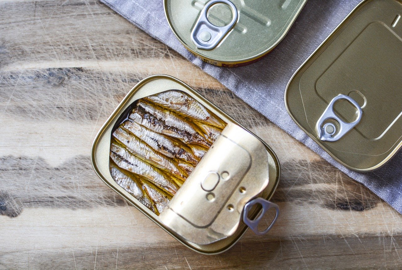 Sardine im Öl, abgetropft Essen und Trinken Fischgerichte